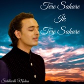 Tere Sahare Ik Tere Sahare artwork