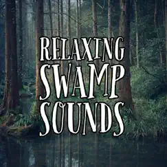 Relaxing Swamp Sounds by Natural Sound Makers & Mother Earth Sounds album reviews, ratings, credits