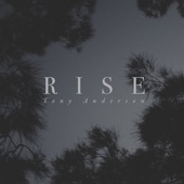 Rise (Snowfall Remix) artwork