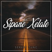 Sipane Xelate artwork