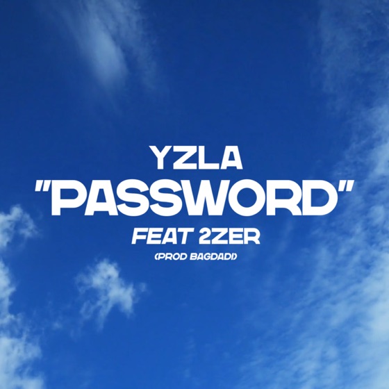 Cover artwork for Password (feat. 2zer)