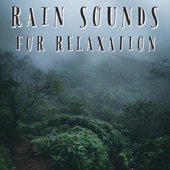 Rain Sounds For Relaxing Mediation artwork