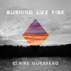 Burning Like Fire - Single album lyrics, reviews, download