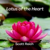 Lotus of the Heart - Single