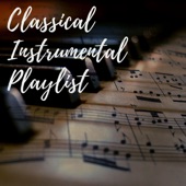 Classical Instrumental Playlist artwork
