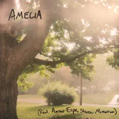 Amelia (feat. Aaron Espe & Steven McMorran) - Single by Tim Bruns album reviews, ratings, credits