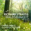 Stream & download Waldseligkeit, Op. 49, No. 1 - Single