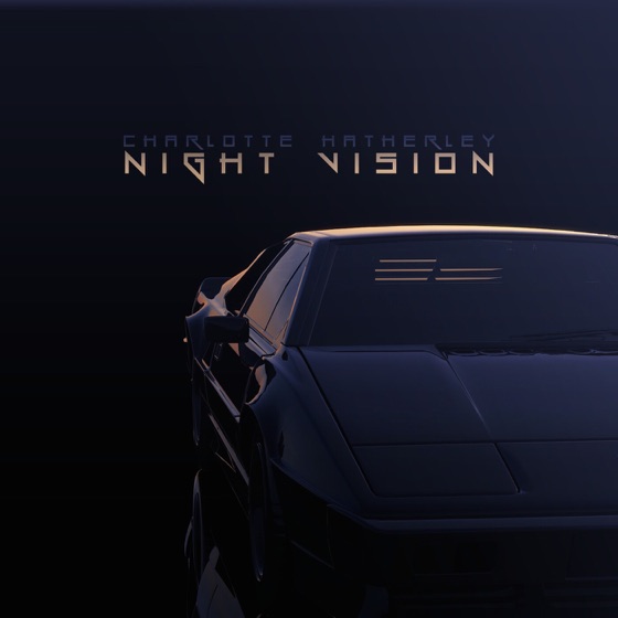 Cover artwork for Night Vision