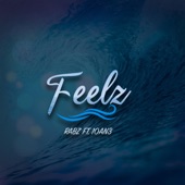 Feelz (feat. 10An3) artwork