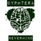 Nevermind - Dyphtera lyrics