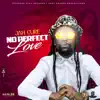 No Perfect Love - Single album lyrics, reviews, download