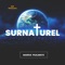 Surnaturel artwork