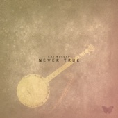 Never True artwork