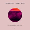 Nobody Like You (feat. Robbie Rosen) - Single