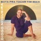 Bota Pra Tocar Tim Maia - Diogo Nogueira lyrics