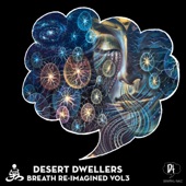 Dreams Within a Dream (Jamie Stevens Hallucination Remix) artwork