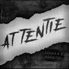Attentie - Single album lyrics, reviews, download