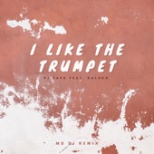I Like the Trumpet (feat. Raluka) [MD Dj Remix] artwork
