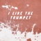 I Like the Trumpet (feat. Raluka) [MD Dj Remix] artwork