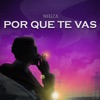 Por Que Te Vas - Single