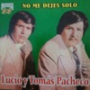 Tomas Pacheco Claros - Piedrecita Del Camino