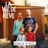 La vie de rêve artwork