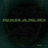 Naranjo - This Is How We Feel