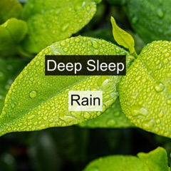 Deep Sleep Rain