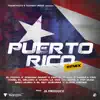 Puerto Rico (feat. Breo Music, El Rey Guevara, Black Virosa, Tivi Gunz & Haraca Kiko) [Remix] song lyrics