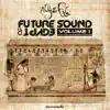 Future Sound of Egypt, Vol. 1 (Mixed Version) album lyrics, reviews, download