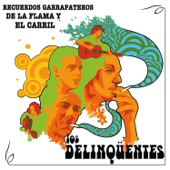 Recuerdos Garrapateros de la Flama y el Carril - Los Delinqüentes