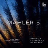 Mahler: Symphony No. 5 in C-Sharp Minor artwork