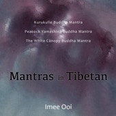 Mantras in Tibetan artwork