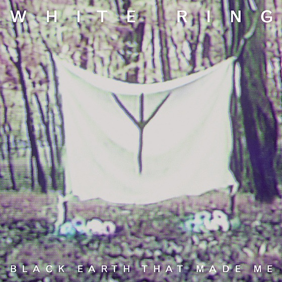 Cover artwork for We Rot