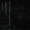 Damp Mother Earth - Single