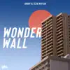 Wonderwall - Single (feat. Izzie Naylor) - Single album lyrics, reviews, download
