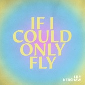 If I Could Only Fly artwork