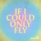 If I Could Only Fly artwork