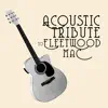 Acoustic Tribute to Fleetwood Mac (Instrumental) album lyrics, reviews, download