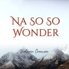 Na so so Wonder - Single, 2020