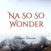 Na so so Wonder artwork