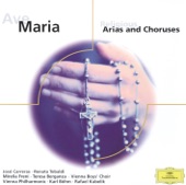 Ave Maria, Religious Arias and Choruses artwork