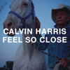 Calvin Harris - Feel So Close (Radio Edit)  arte