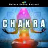 Chakra Meditation album lyrics, reviews, download