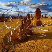 Pure Love, Pure Down-Tempo, Vol. 1 artwork