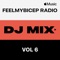 FeelMyBicep Radio, Vol. 6 (DJ Mix)