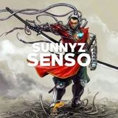 Senso artwork