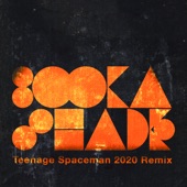 Teenage Spaceman (Guy Herman & Chris Sen Remix) artwork
