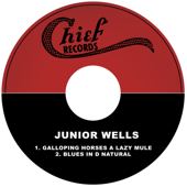 Galloping Horses a Lazy Mule - Junior Wells & Earl Hooker