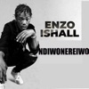 Ndiwonereiwo - Single